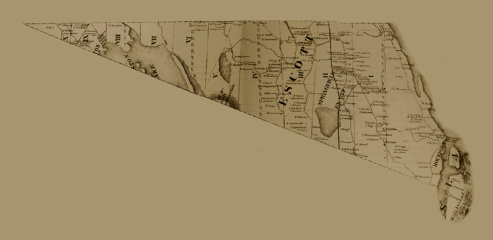Map of Escott Township