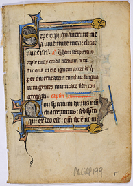 MS 199. Feuillet d’un bréviaire. Flandres, vers 1300