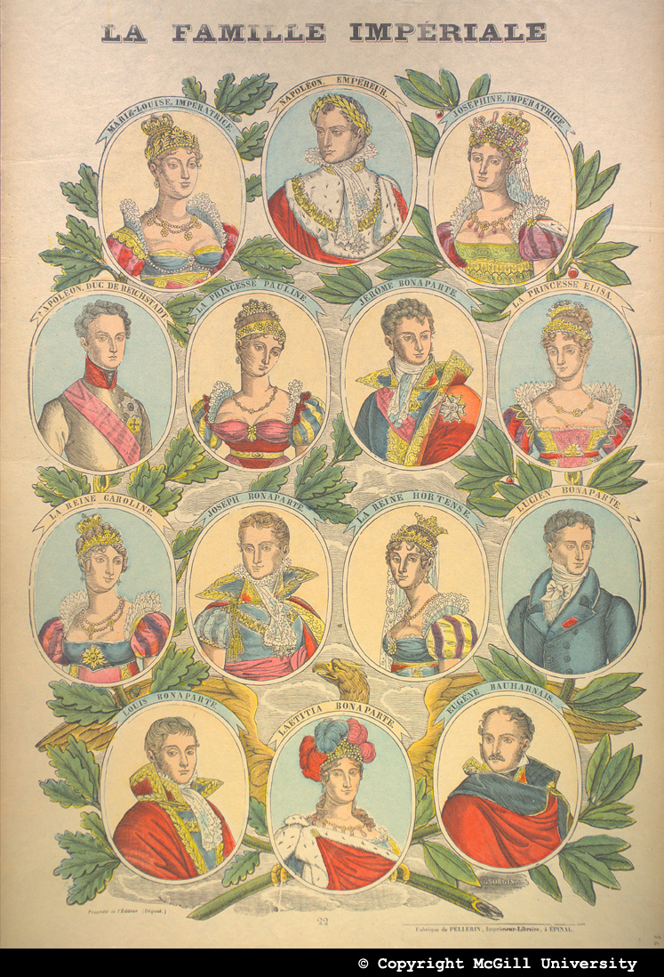 McGill University Napoleon Collection Print