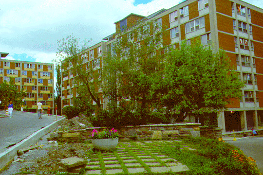 McConnell & Molson Halls