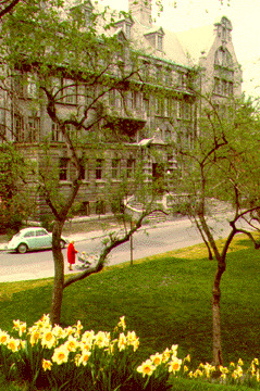 Macdonald Engineering