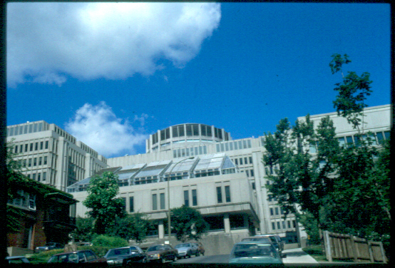 View from the south