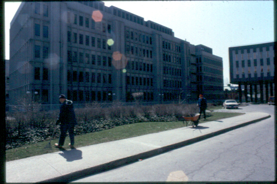 The Stewart Biological Sciences Building is situated just south of the McIntyre Medical Sciences Building, to which it is linked by an enclosed bridge, and just west of Chancellor Day Hall, formerly known as the James Ross Mansion, which can be reached by crossing a concrete terrace. It was constructed in 1965 in McIntyre Park on the site of what was once Duncan McIntyre's mansion, Craguie, a splendid, turreted Square Mile abode. At the beginning of this project, the Hodgeson house was located in the southwest corner of the chosen site. This building housed the McCord Museum for several years after it left the condemned Joseph House, the current site of McLennan Library, in 1955. In 1971, the McCord Museum was moved to its current location in McGill's old Student Union. Shortly after this, Hodgeson house was demolished and the site was occupied by Stewart Biological Sciences alone.

Stewart Biology was designed by the firm Dobush, Stewart, and Bourke who were later commissioned for many other campus projects including McLennan Library and Rutherford Physics. This structure was designed in two sections. The larger, seven-storey section is L-shaped and contains offices and labs. South of this is the lecture building which features two large theatres, seating 300 and 150 students respectively, that are linked to certain labs in Stewart Biology and McIntyre Medical Sciences by closed circuit television. This allows many students at a time to see a demonstration and saves the professor and teaching assistants having to repeat the procedure several times. The separation of the two units allows the teaching area to bear the burden of heavy traffic in between classes. On top of the teaching unit is a large conservatory where plants are housed for study. This undecorated complex is constructed of precast concrete panels over a steel frame. The exterior is of a texture and colour that matches the older structures on the campus.