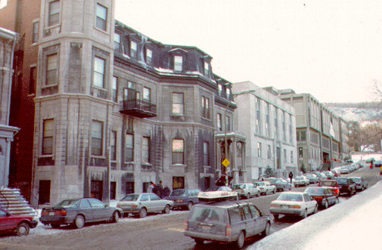 View up McTavish