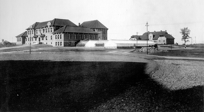 Greenhouse and Barn (1906)