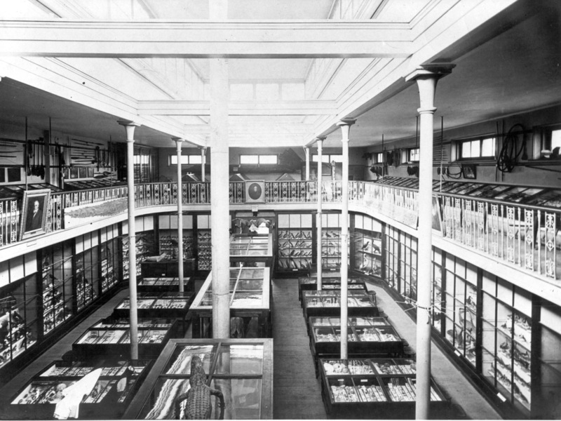 Museum interior 
