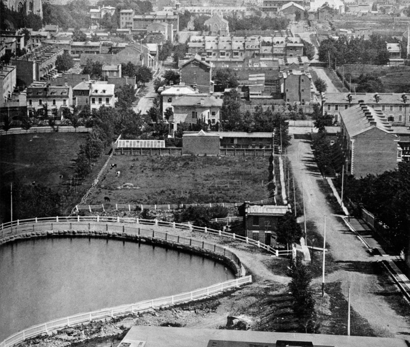View of McTavish Street from Mt. Royal with Rupert's Terrace (1869)