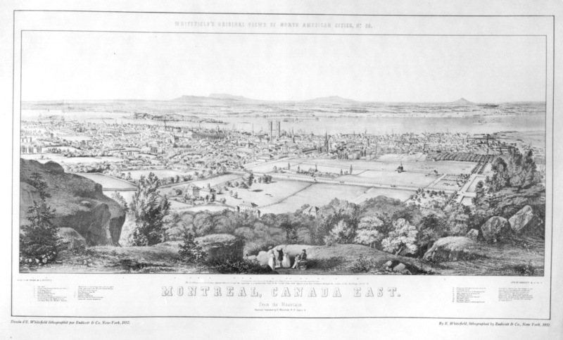 Montreal from Mount Royal by E. Whitefield (1852)