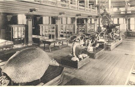 Museum interior