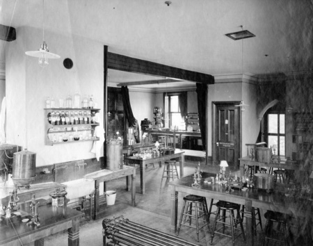 Curator's laboratory