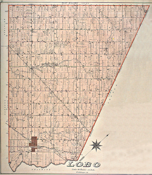 Map of Lobo Township